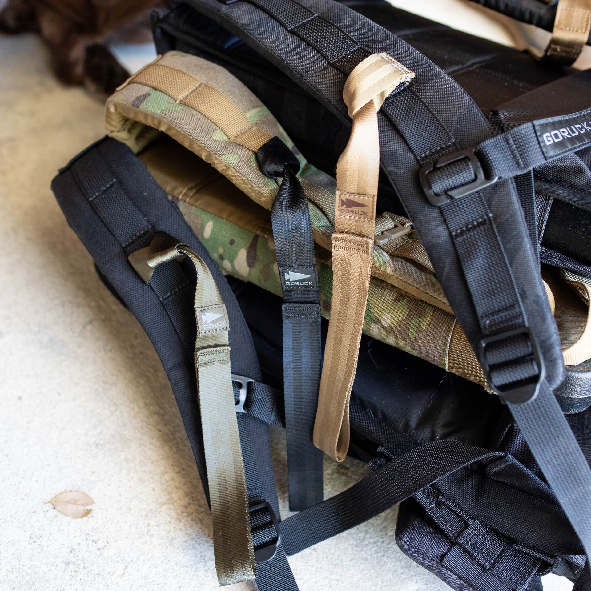T-REX HAND STRAPS (PAIR) - Storming Gravity